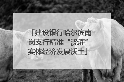 建设银行哈尔滨南岗支行精准“浇灌”实体经济发展沃土