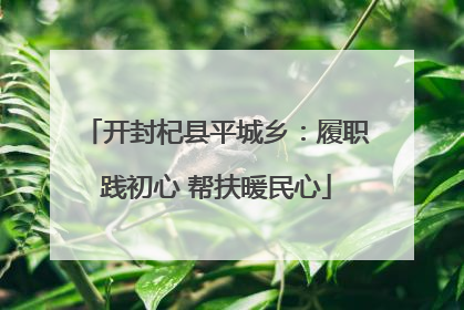 开封杞县平城乡：履职践初心 帮扶暖民心