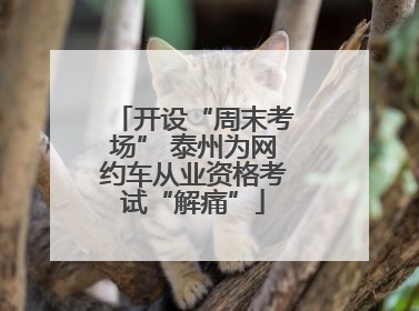 开设“周末考场” 泰州为网约车从业资格考试“解痛”