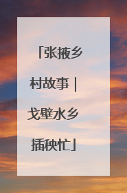 张掖乡村故事｜戈壁水乡插秧忙
