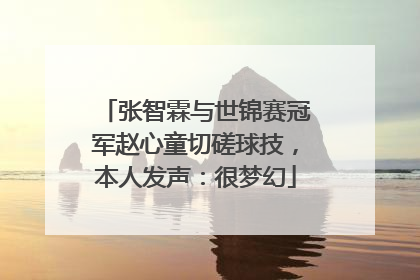 张智霖与世锦赛冠军赵心童切磋球技，本人发声：很梦幻