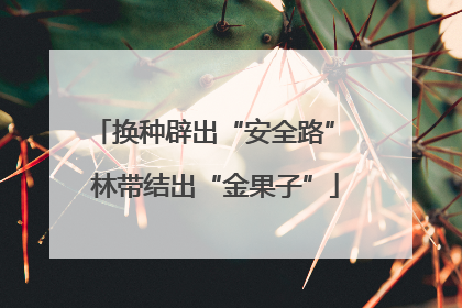 换种辟出“安全路” 林带结出“金果子”