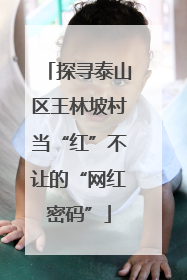 探寻泰山区王林坡村当“红”不让的“网红密码”
