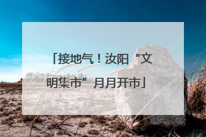 接地气！汝阳“文明集市”月月开市