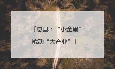 息县：“小金蛋”撬动“大产业”