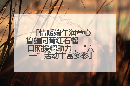情暖端午润童心 鲁疆同育红石榴——日照援疆助力，“六一”活动丰富多彩