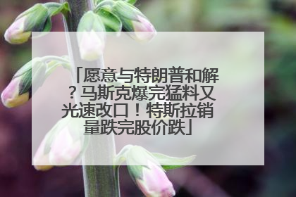愿意与特朗普和解？马斯克爆完猛料又光速改口！特斯拉销量跌完股价跌