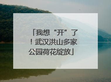 我想“开”了！武汉洪山多家公园荷花绽放