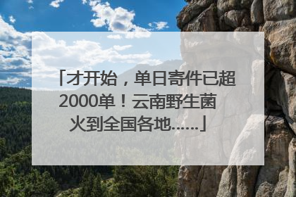 才开始，单日寄件已超2000单！云南野生菌火到全国各地……