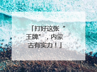 打好这张“王牌”，内蒙古有实力！