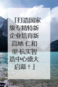 打造国家级专精特新企业培育新高地 仁和里·杭实智造中心盛大启幕！