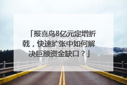 报喜鸟8亿元定增折戟，快速扩张中如何解决巨额资金缺口？