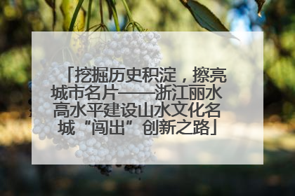 挖掘历史积淀，擦亮城市名片——浙江丽水高水平建设山水文化名城“闯出”创新之路