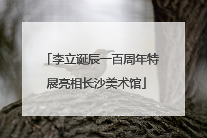 李立诞辰一百周年特展亮相长沙美术馆