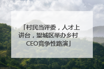 村民当评委，人才上讲台，望城区举办乡村CEO竞争性路演