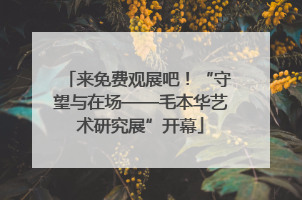 来免费观展吧！“守望与在场——毛本华艺术研究展”开幕