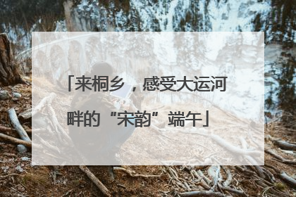 来桐乡，感受大运河畔的“宋韵”端午