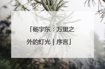 杨宇东：万里之外的灯光｜序言