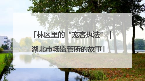 林区里的“宠客执法”｜湖北市场监管所的故事