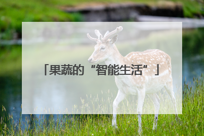 果蔬的“智能生活”
