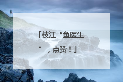 枝江“鱼医生”，点赞！