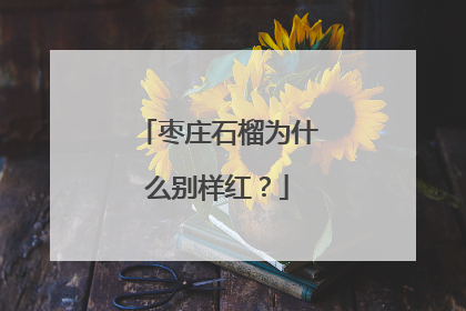枣庄石榴为什么别样红？