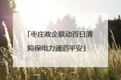 枣庄政企联动百日清障保电力通道平安