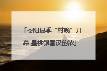 枣阳夏季“村晚”开幕 皇桃飘香汉韵浓