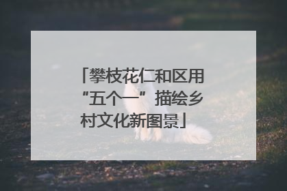 攀枝花仁和区用“五个一”描绘乡村文化新图景