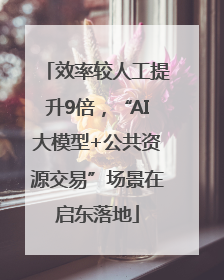 效率较人工提升9倍，“AI大模型+公共资源交易”场景在启东落地
