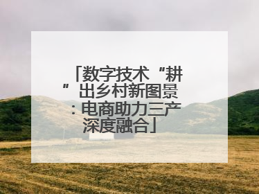数字技术“耕”出乡村新图景：电商助力三产深度融合