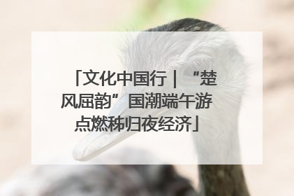 文化中国行｜“楚风屈韵”国潮端午游点燃秭归夜经济