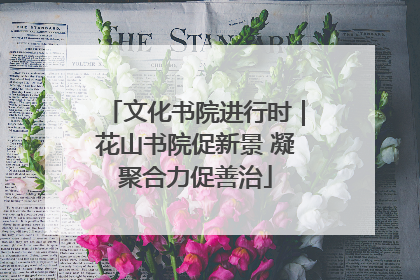 文化书院进行时｜花山书院促新景 凝聚合力促善治