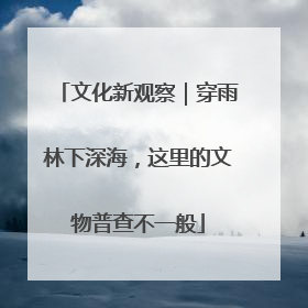 文化新观察｜穿雨林下深海，这里的文物普查不一般