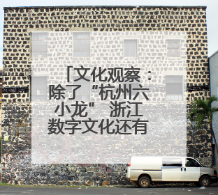 文化观察：除了“杭州六小龙” 浙江数字文化还有什么？