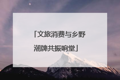 文旅消费与乡野潮牌共振响堂