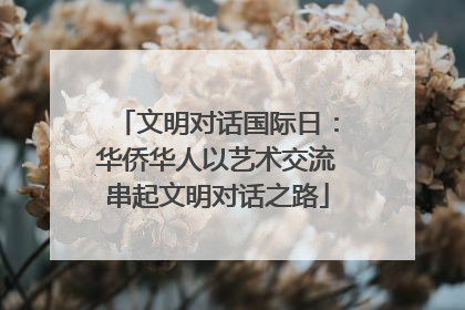 文明对话国际日：华侨华人以艺术交流串起文明对话之路
