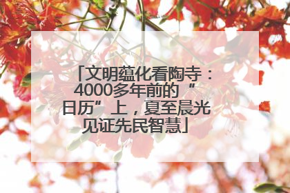 文明蕴化看陶寺：4000多年前的“日历”上，夏至晨光见证先民智慧