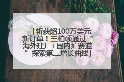 斩获超100万美元新订单！三柏硕通过“海外建厂+国内扩赛道”探索第二增长曲线
