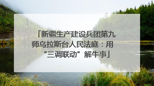 新疆生产建设兵团第九师乌拉斯台人民法庭：用“三调联动”解牛事