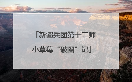 新疆兵团第十二师小草莓“破圈”记