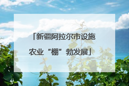新疆阿拉尔市设施农业“棚”勃发展