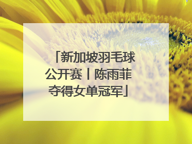 新加坡羽毛球公开赛丨陈雨菲夺得女单冠军