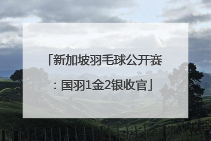 新加坡羽毛球公开赛：国羽1金2银收官
