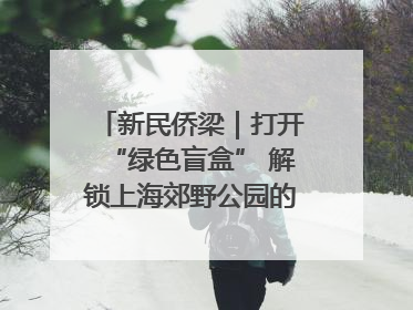 新民侨梁｜打开“绿色盲盒” 解锁上海郊野公园的N种玩法