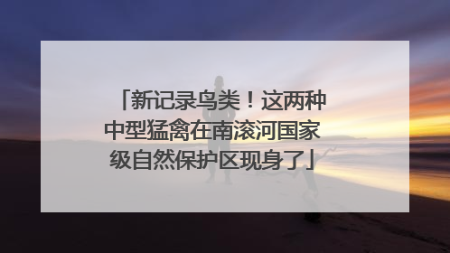 新记录鸟类！这两种中型猛禽在南滚河国家级自然保护区现身了
