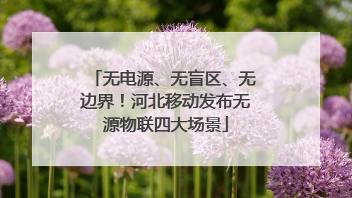 无电源、无盲区、无边界！河北移动发布无源物联四大场景