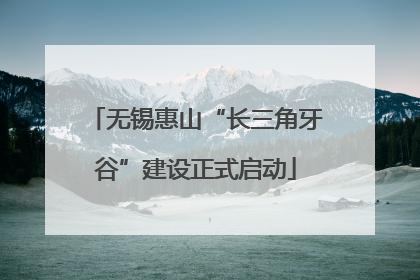 无锡惠山“长三角牙谷”建设正式启动