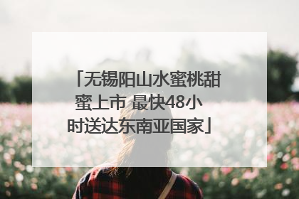 无锡阳山水蜜桃甜蜜上市 最快48小时送达东南亚国家
