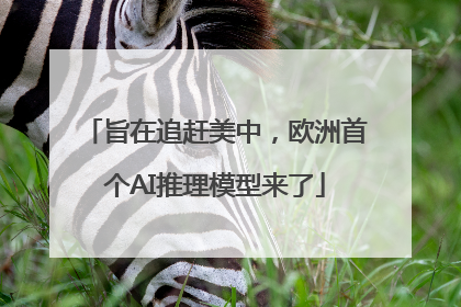旨在追赶美中，欧洲首个AI推理模型来了